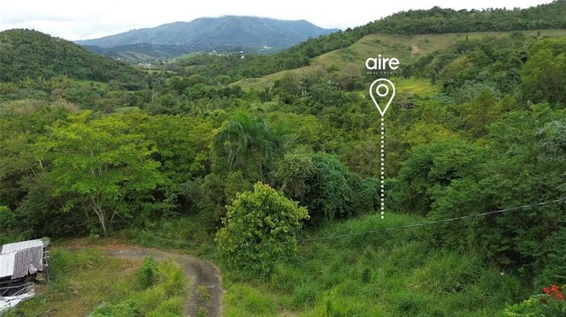 Lot 7 Km 61 Pr-3 Int Daguao Ward, CEIBA