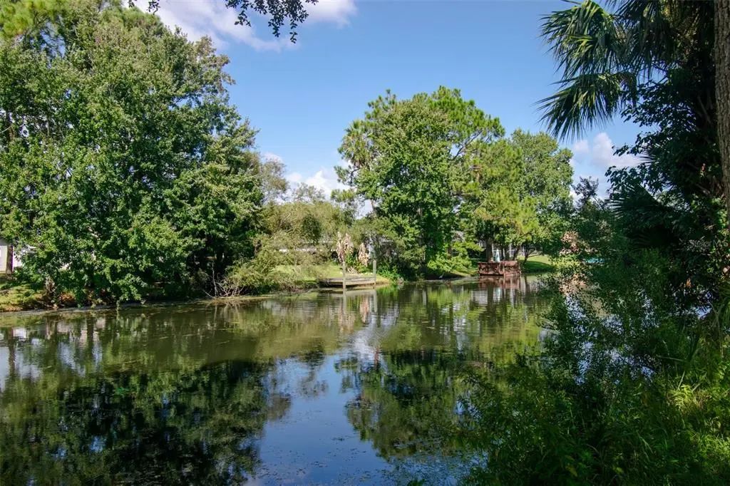 225 Birchwood Drive, PALM COAST