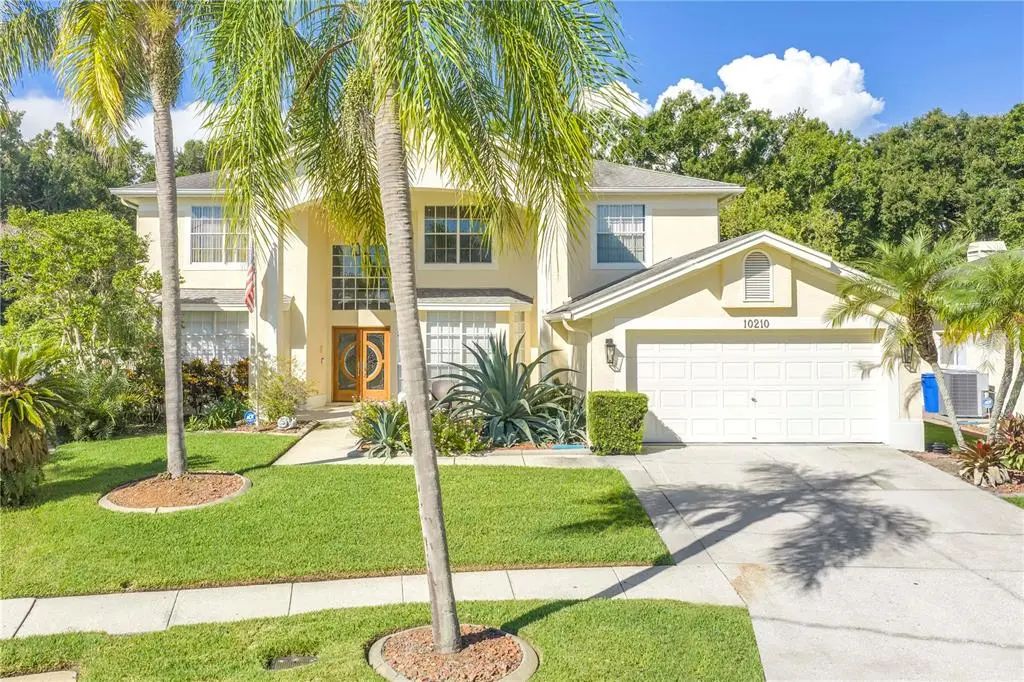 10210 Vista Pointe Drive, TAMPA