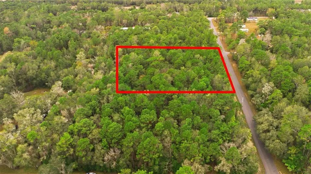 Blair Avenue, BROOKSVILLE