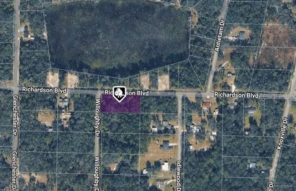 7374 Willoughby Drive, WEBSTER