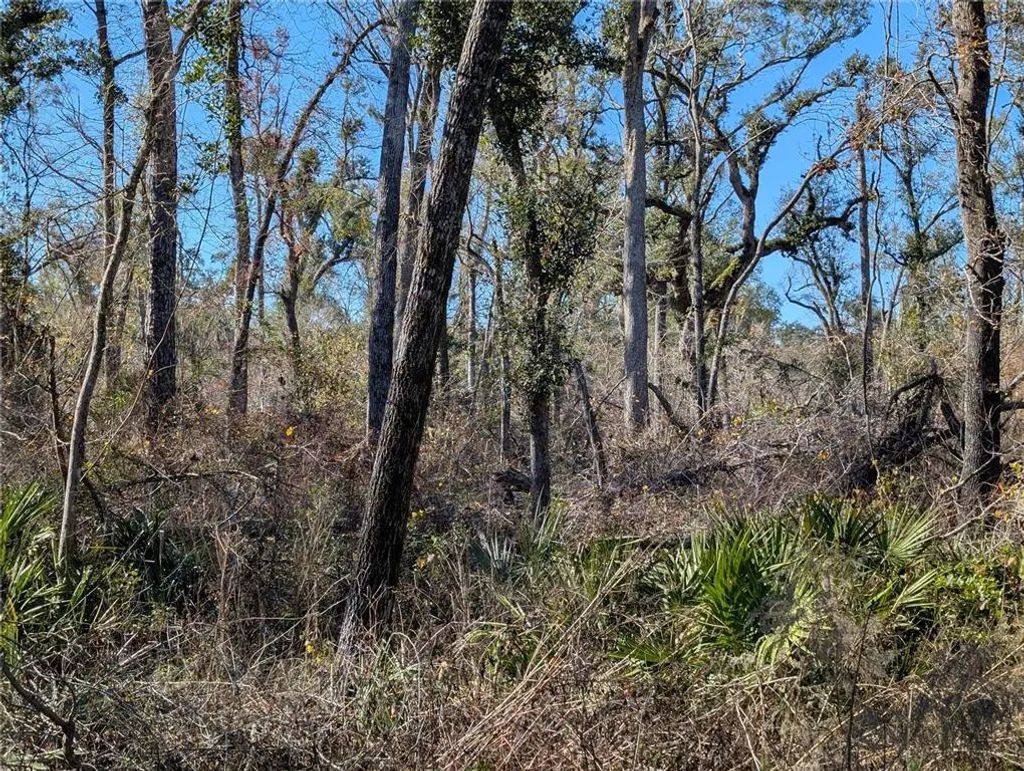 Nw Fox Run Trail 107, MAYO