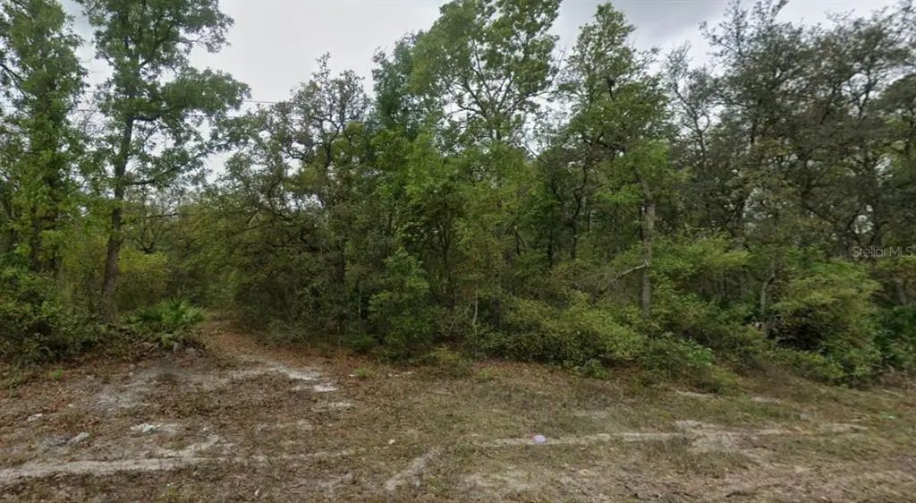 Highline Trail, SATSUMA