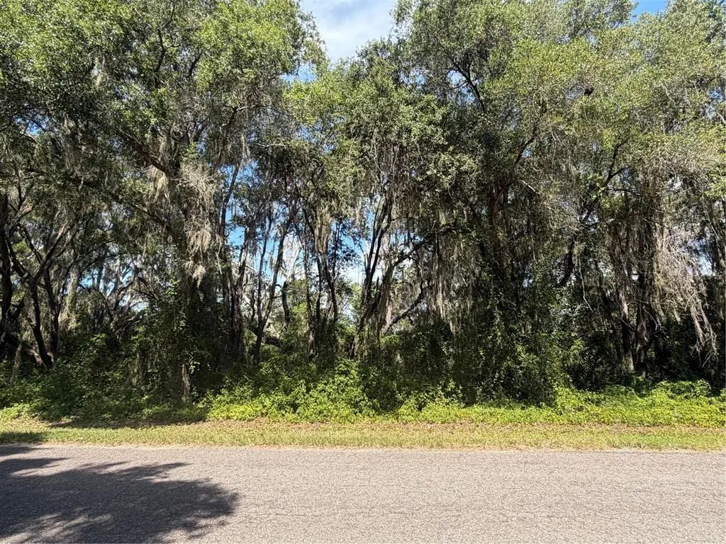 Tbd Guava Terrace, OCKLAWAHA