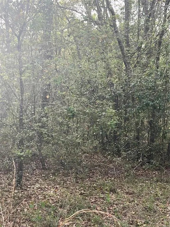 Ne 125th Street, BRONSON