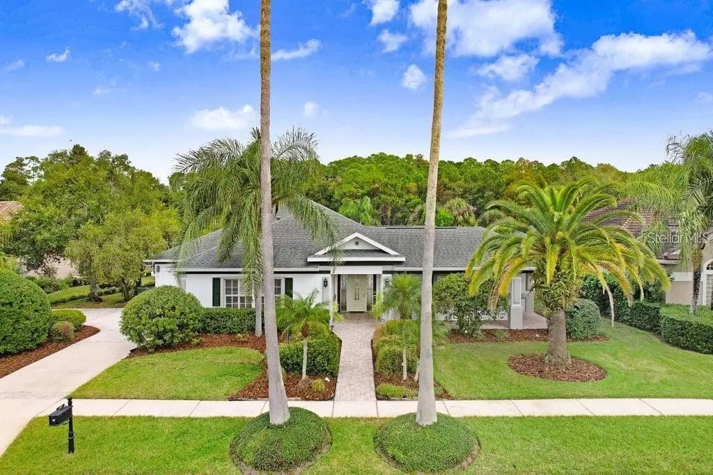 12009 Brewster Drive, TAMPA