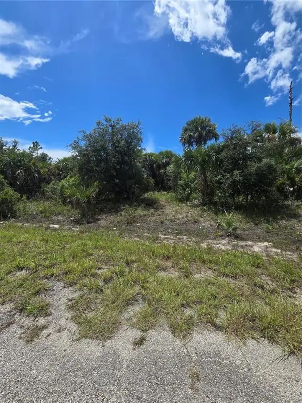 Plumleaf Terrace, NORTH PORT
