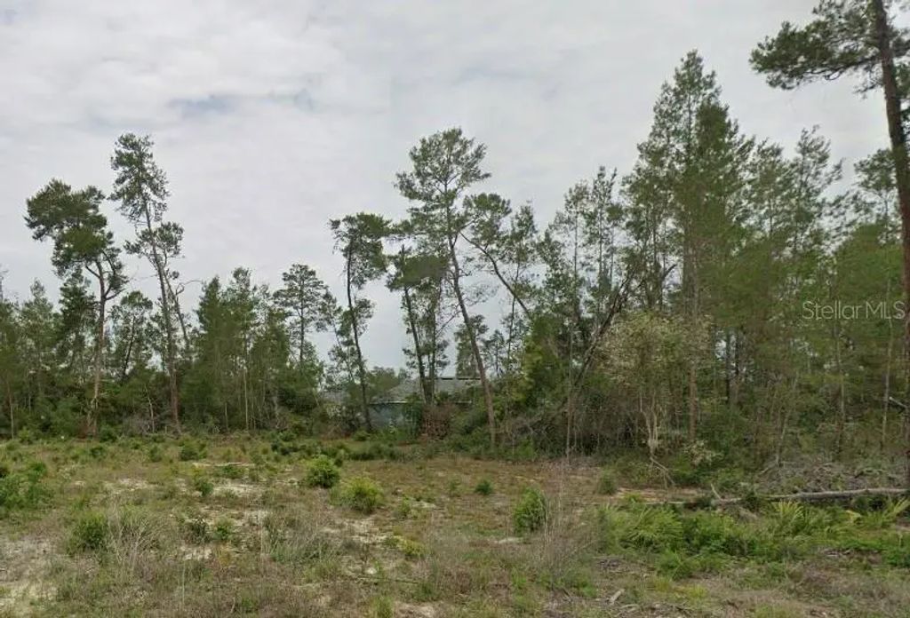 Tbd Sw 30th Ave Rd, OCALA