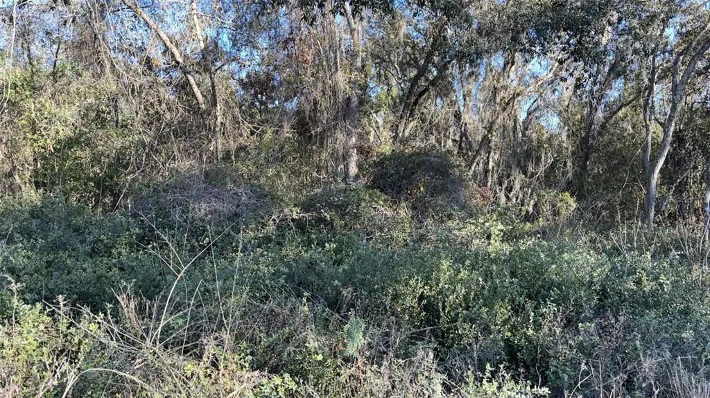 Bounty/barrett, NEW PORT RICHEY