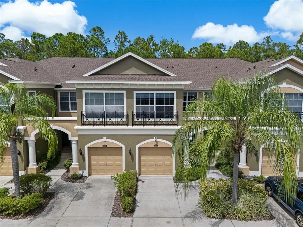 12612 Silverdale Street, TAMPA