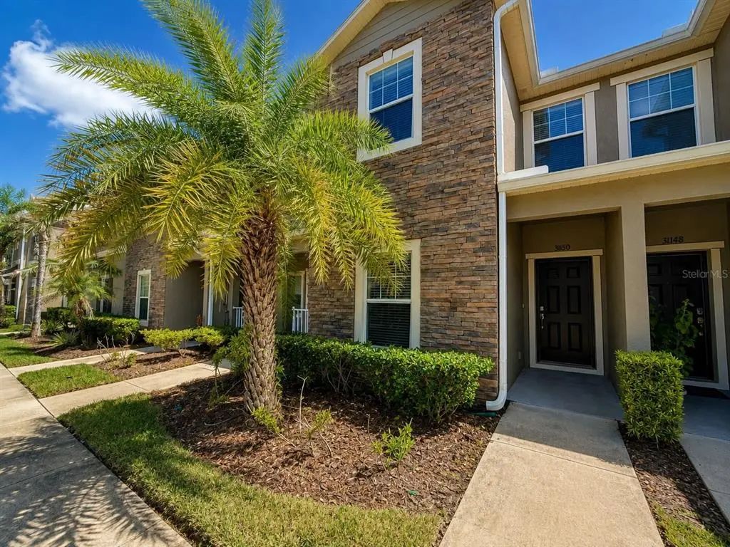 31150 Gossamer Way, WESLEY CHAPEL