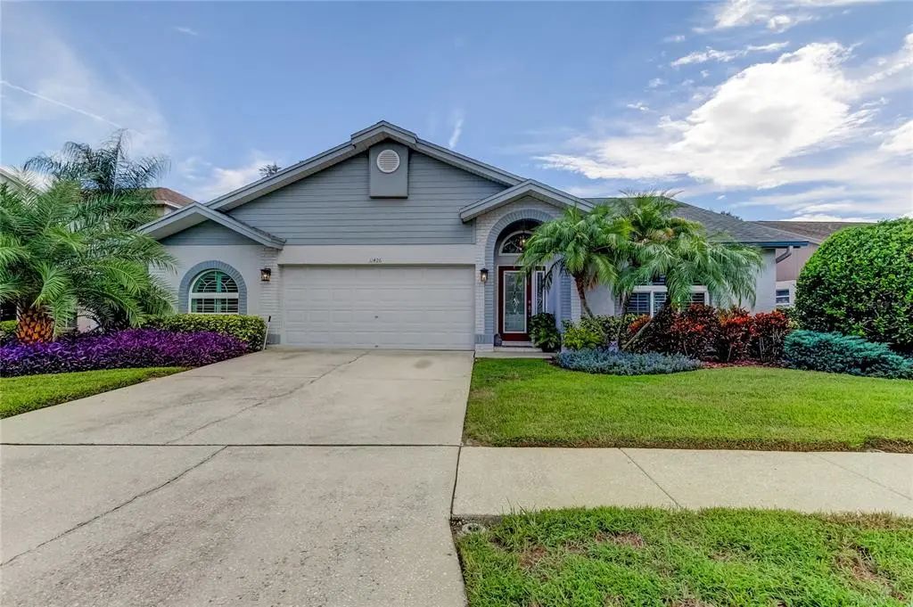 11426 Glenmont Drive, TAMPA