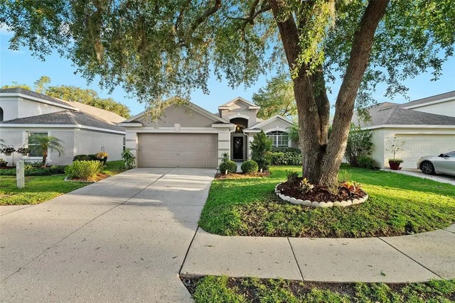 5520 Terrain De Golf Drive, LUTZ