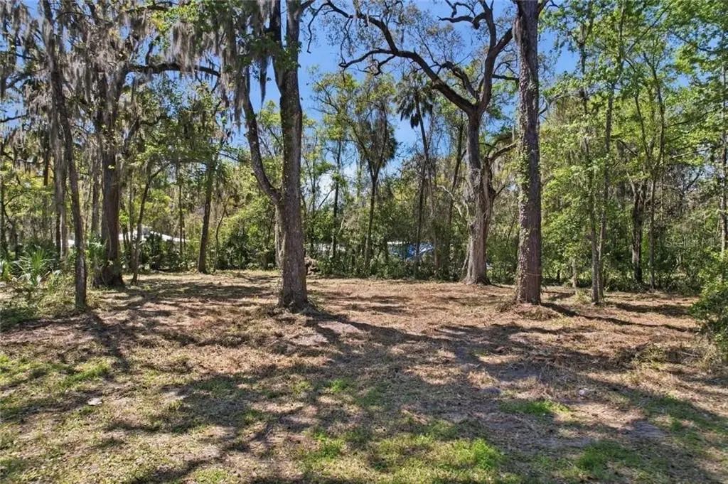 1325 Nw 19th Street, CRYSTAL RIVER
