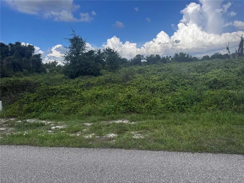 100 Dahoon Boulevard, PUNTA GORDA