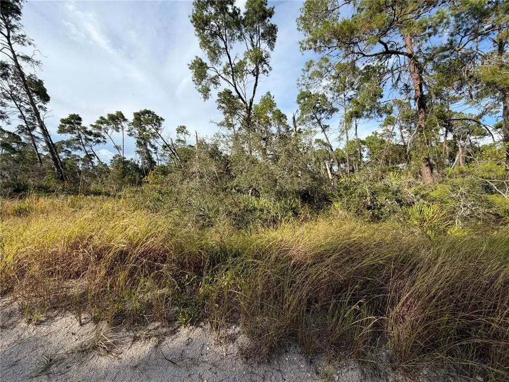 478 Darter Avenue, SEBRING