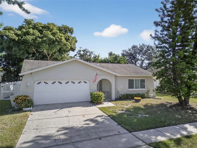 1993 Citrus Hill Road, PALM HARBOR