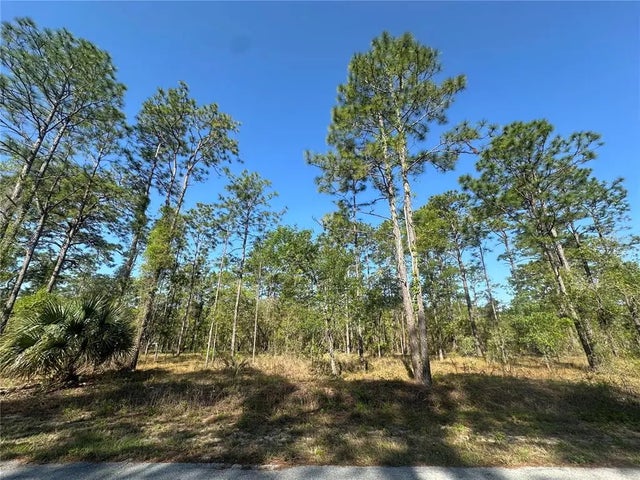 Nw Narcissus Road, DUNNELLON