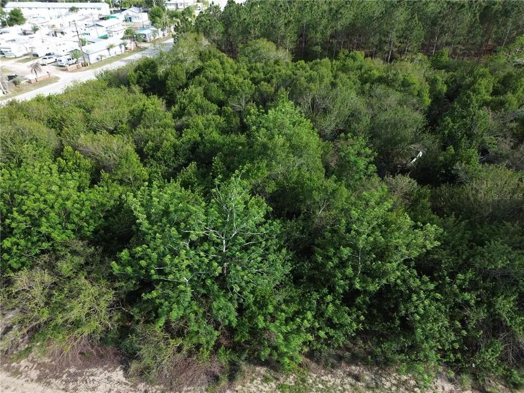 3055 Sr-17 N, SEBRING