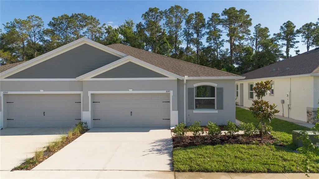 31351 Paper Birch Street, WESLEY CHAPEL
