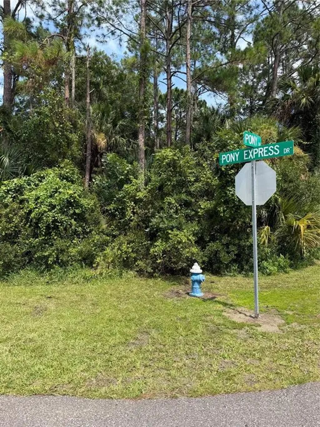 30 Pony Express Drive, PALM COAST