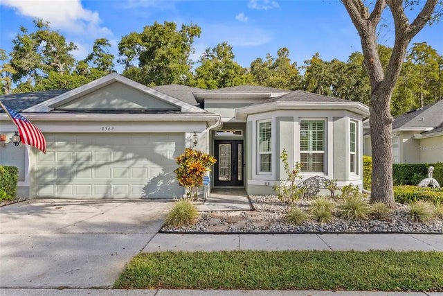 8562 Acorn Ridge Court, TAMPA