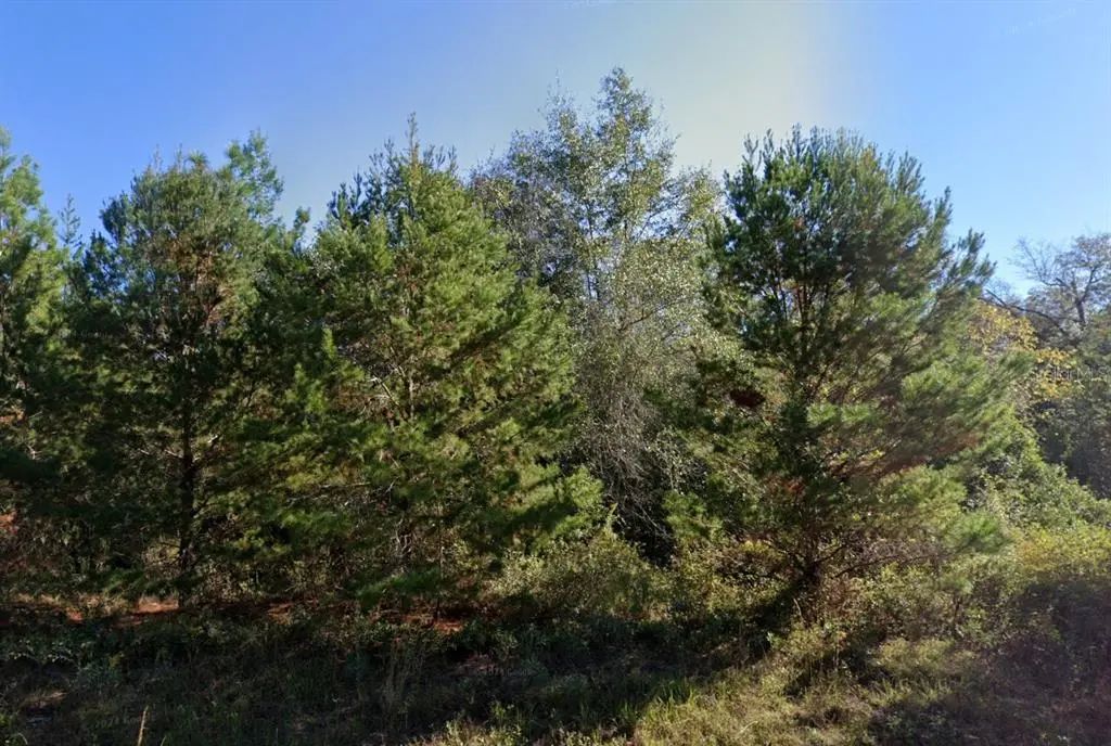 Parkview Lot 13 Drive, CHIPLEY