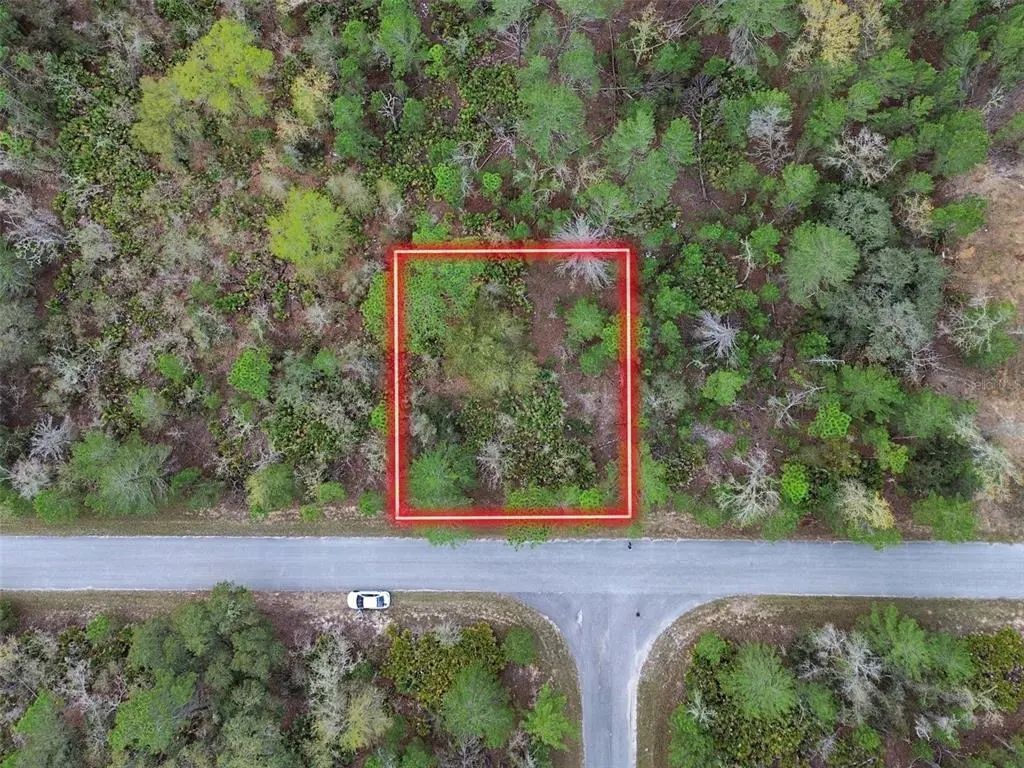 Tbd Malauka Lane, OCKLAWAHA