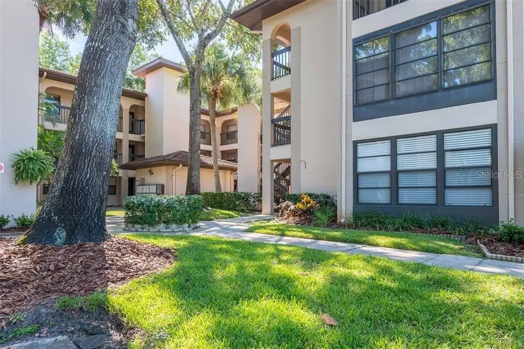 3399 Mermoor Drive 206, PALM HARBOR