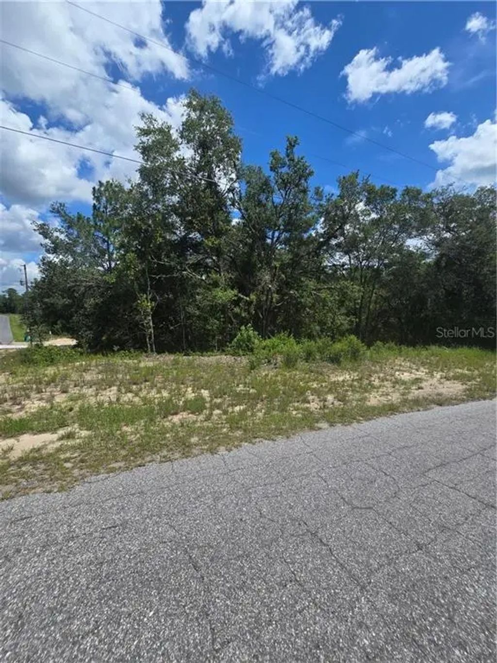 2485 W Braganza Street, Dunnellon