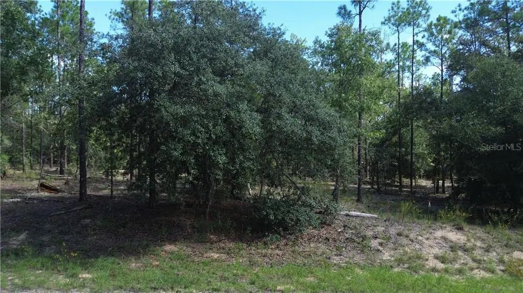 617 E Marquette Lane, Citrus Springs