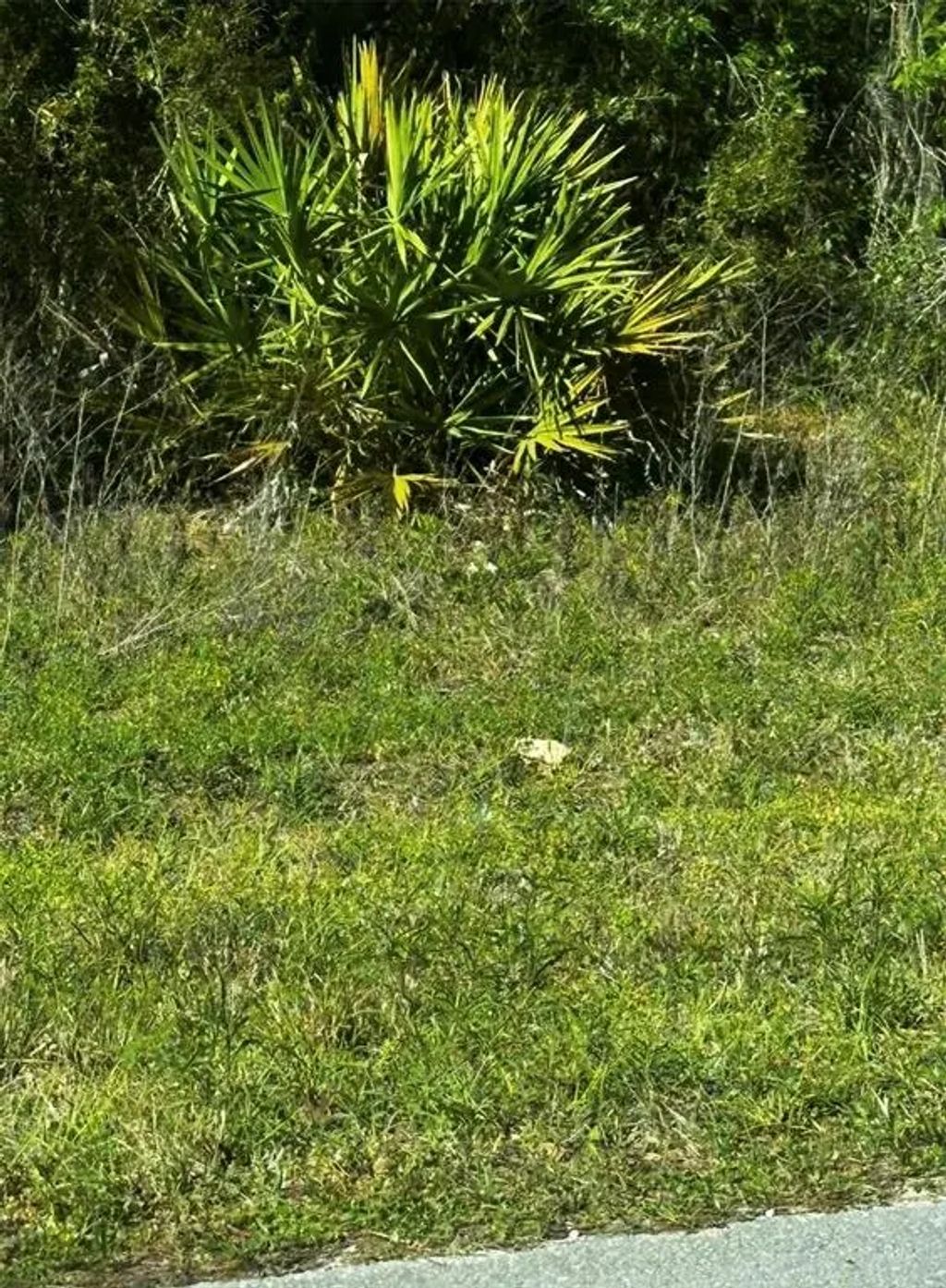 2 Sw 24th Place, OCALA