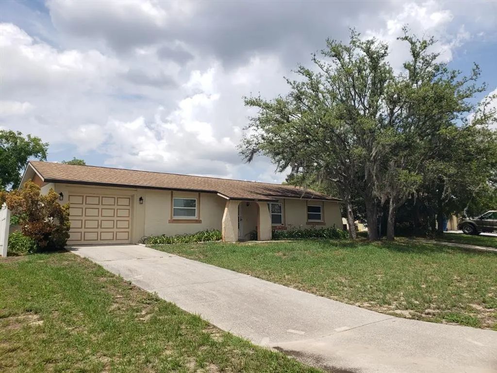 11031 Heathwood Avenue, SPRING HILL
