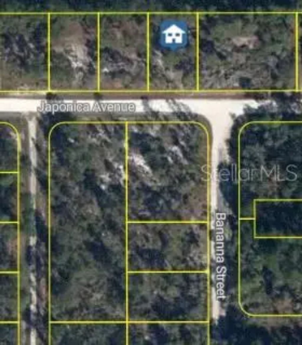 3021 Japonica Avenue, LAKE PLACID