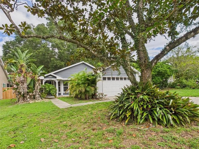 2013 Donnelly Place, MOUNT DORA