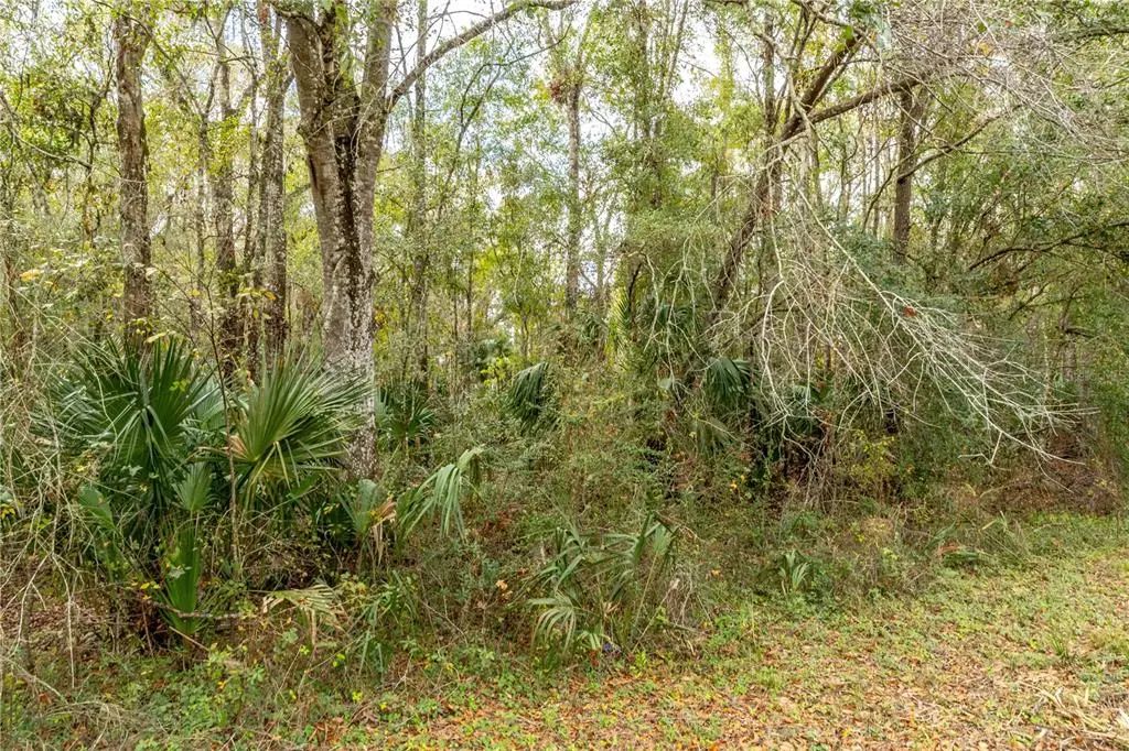 Lake Lindsey Tract 2 Road, BROOKSVILLE