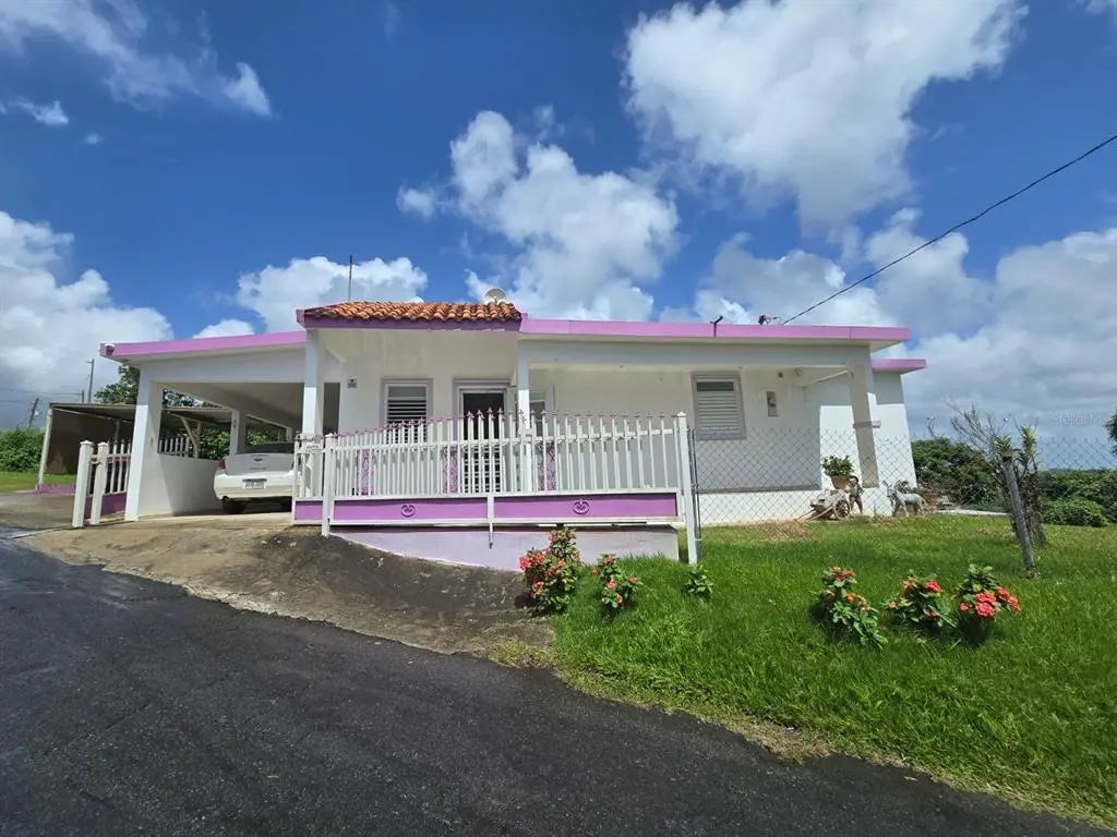 Sr 917 Km 8.5 Int Tejas Wd, LAS PIEDRAS