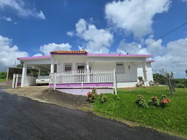 Sr 917 Km 8.5 Int Tejas Wd, LAS PIEDRAS