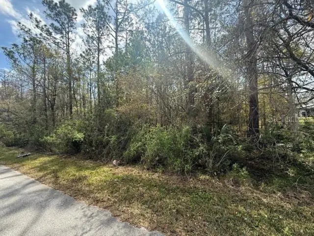 Green Willow Run Lot 759, WESLEY CHAPEL
