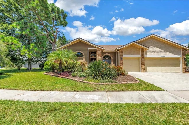 11209 Bloomington Drive, TAMPA