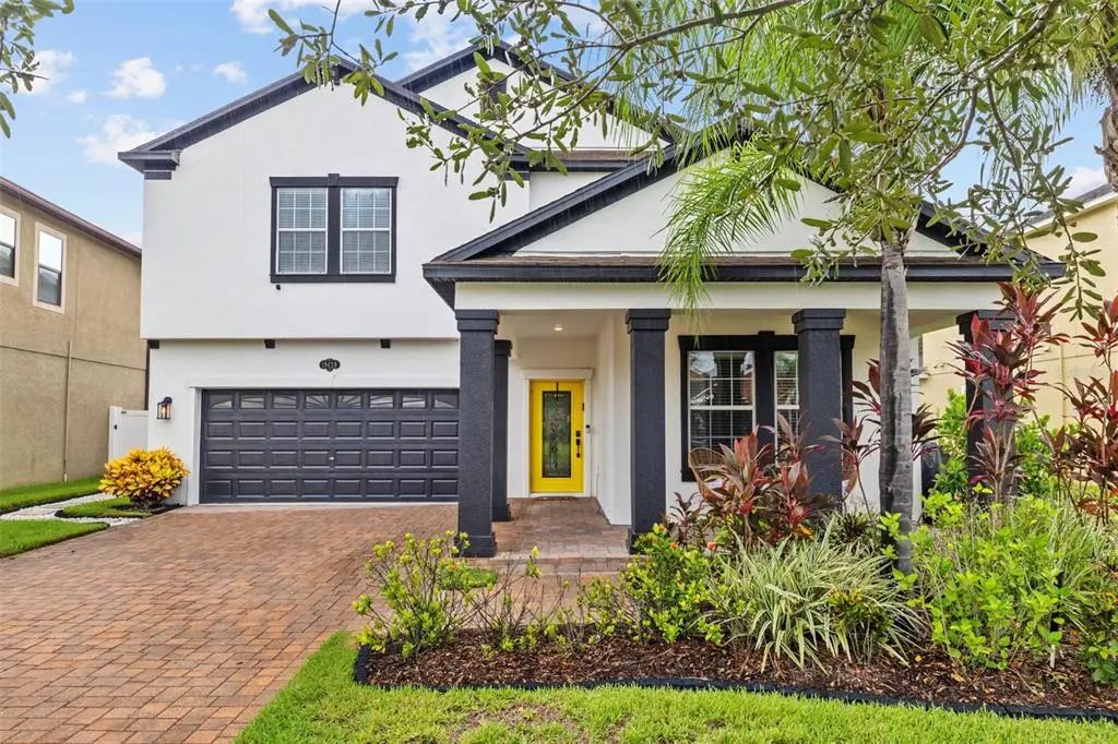 19428 Paddock View Drive, TAMPA