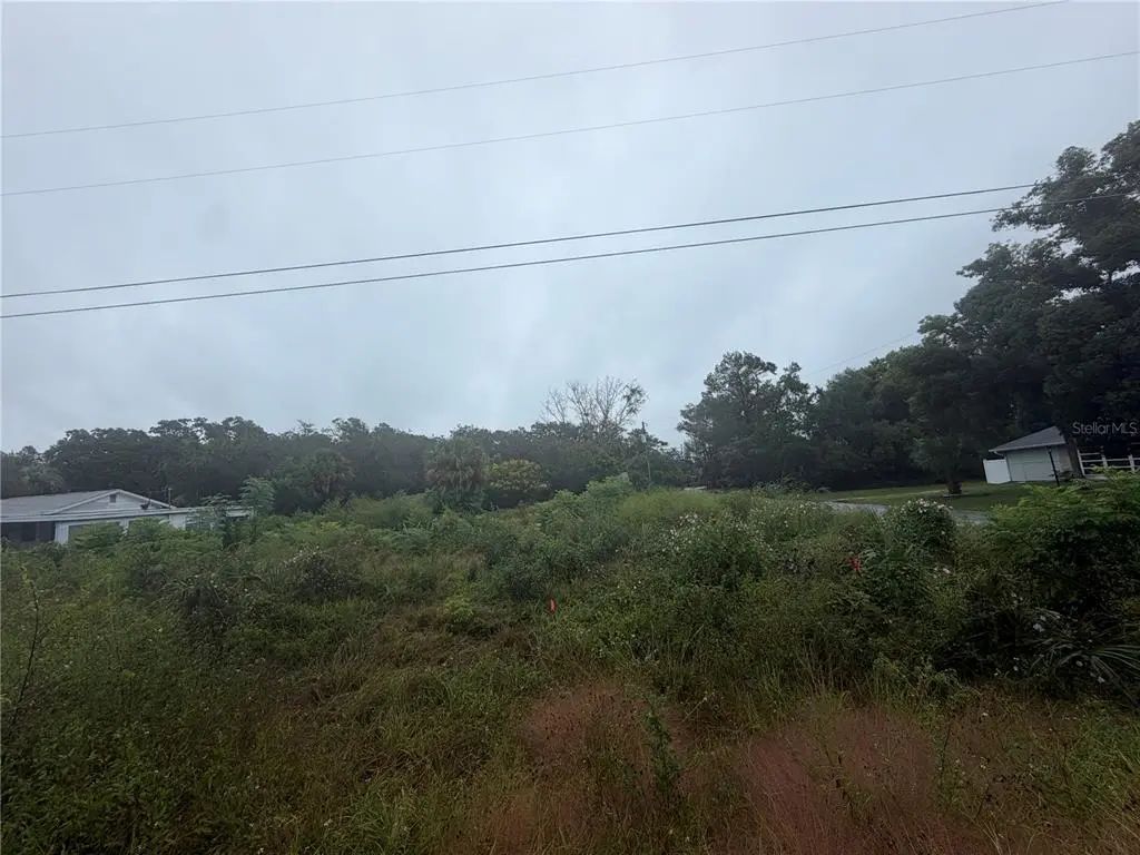 5180 Pacific Avenue, WEEKI WACHEE