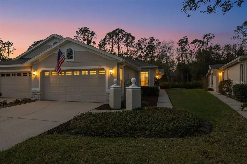 3252 Chapel Creek Circle, WESLEY CHAPEL