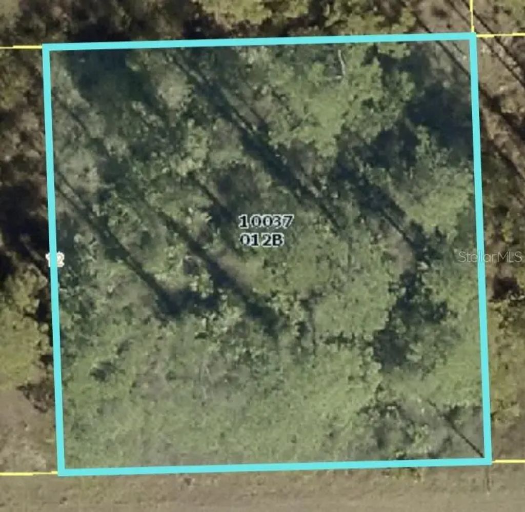 1103 E 11th Street, LEHIGH ACRES
