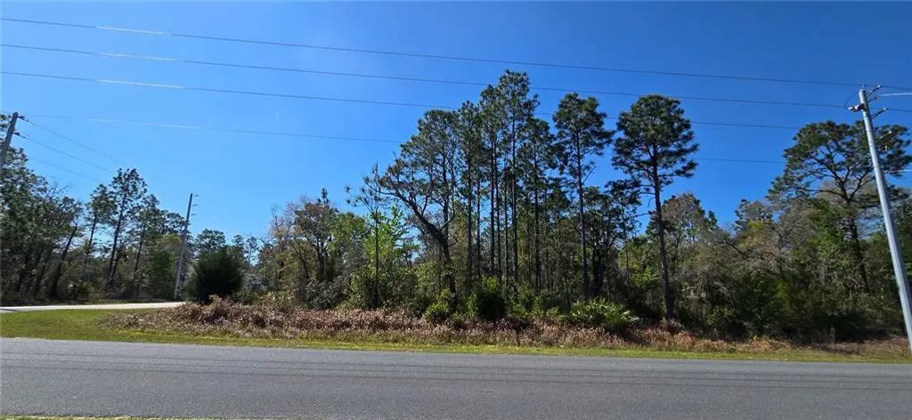 12398 Ruffed Grouse Road, WEEKI WACHEE