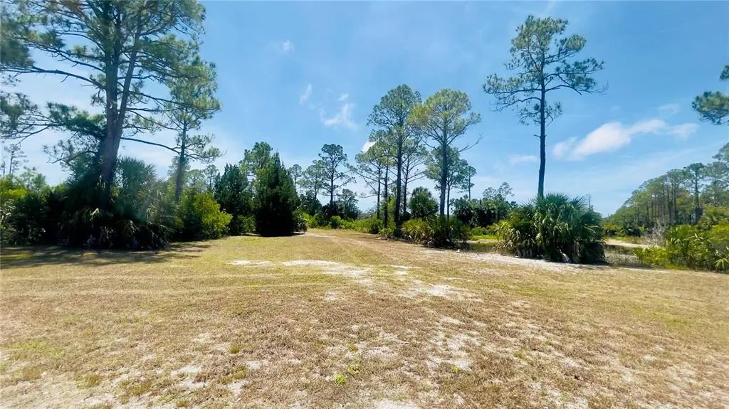 Tbd Sw 101st Ln, CEDAR KEY