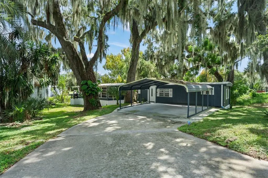 17336 Palm Drive, MONTVERDE