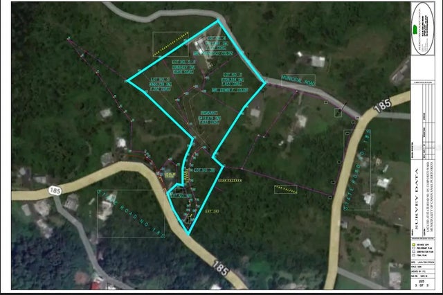 185 Camino Hormigon La Centena S, CANOVANAS