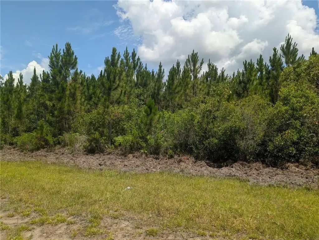 106 Japonica Drive, INDIAN LAKE ESTATES