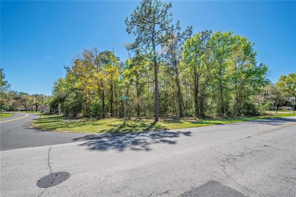 1 Pine Street, HOMOSASSA